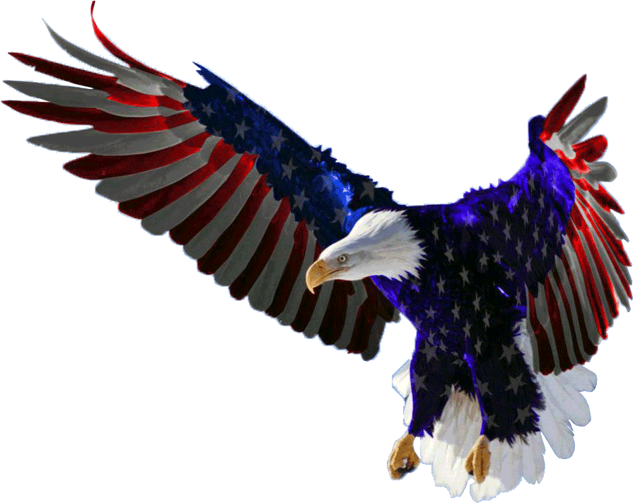 American Eagle Png Clipart (black)