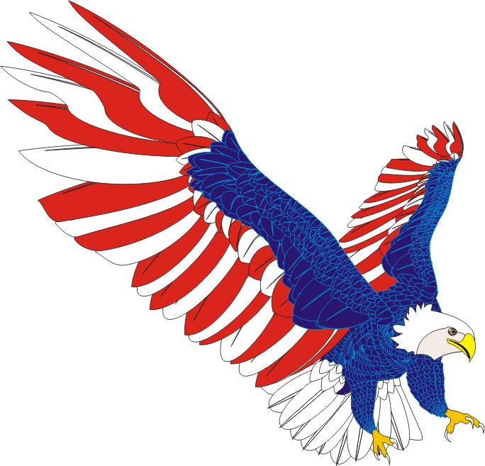 American Eagle Png Image (navy, white, red)