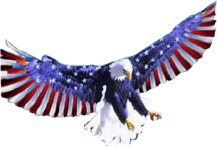 American Eagle Transparent Background (black, white)