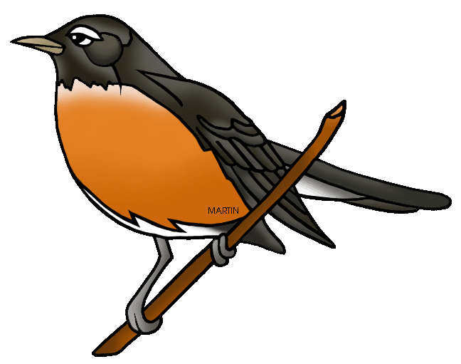 American Robin Png Photo (white, chocolate)