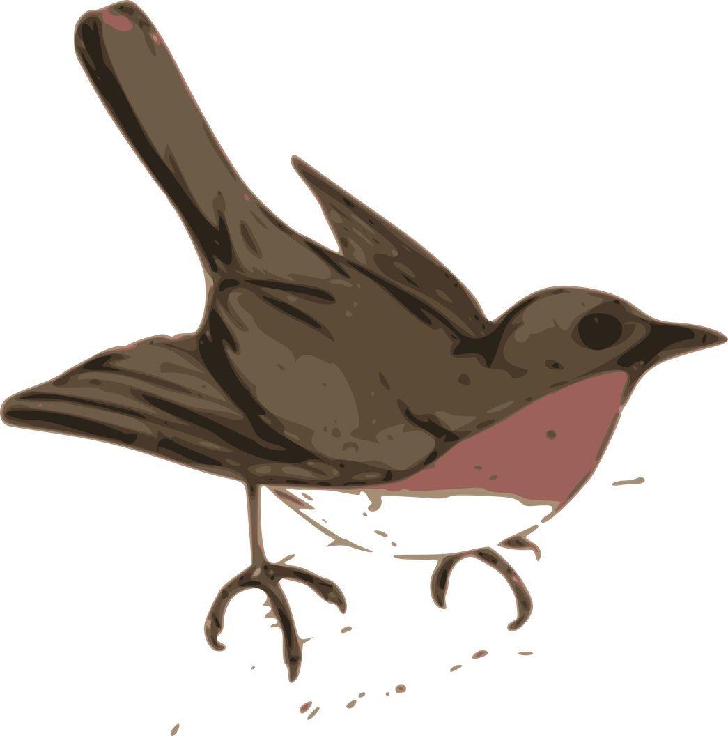 American Robin Transparent Background (black, gray, olive)