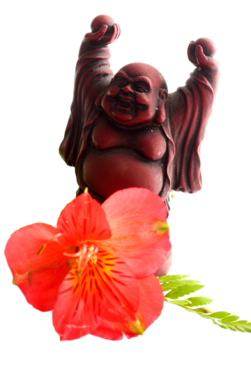 Smiling Buddha Png Picture (black, salmon, red)