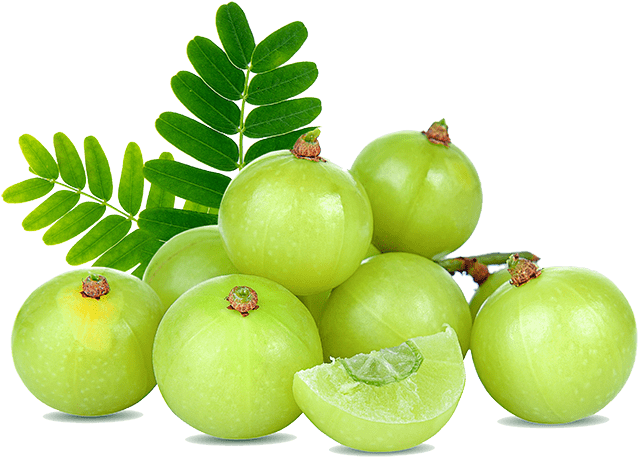 Amla Png File (gold, mint, black, silver)