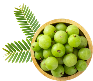 Amla Png Isolated File (green, black)