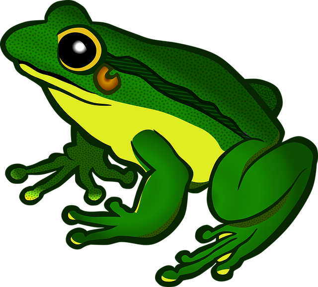 Amphibian Png File (green, black, yellow)