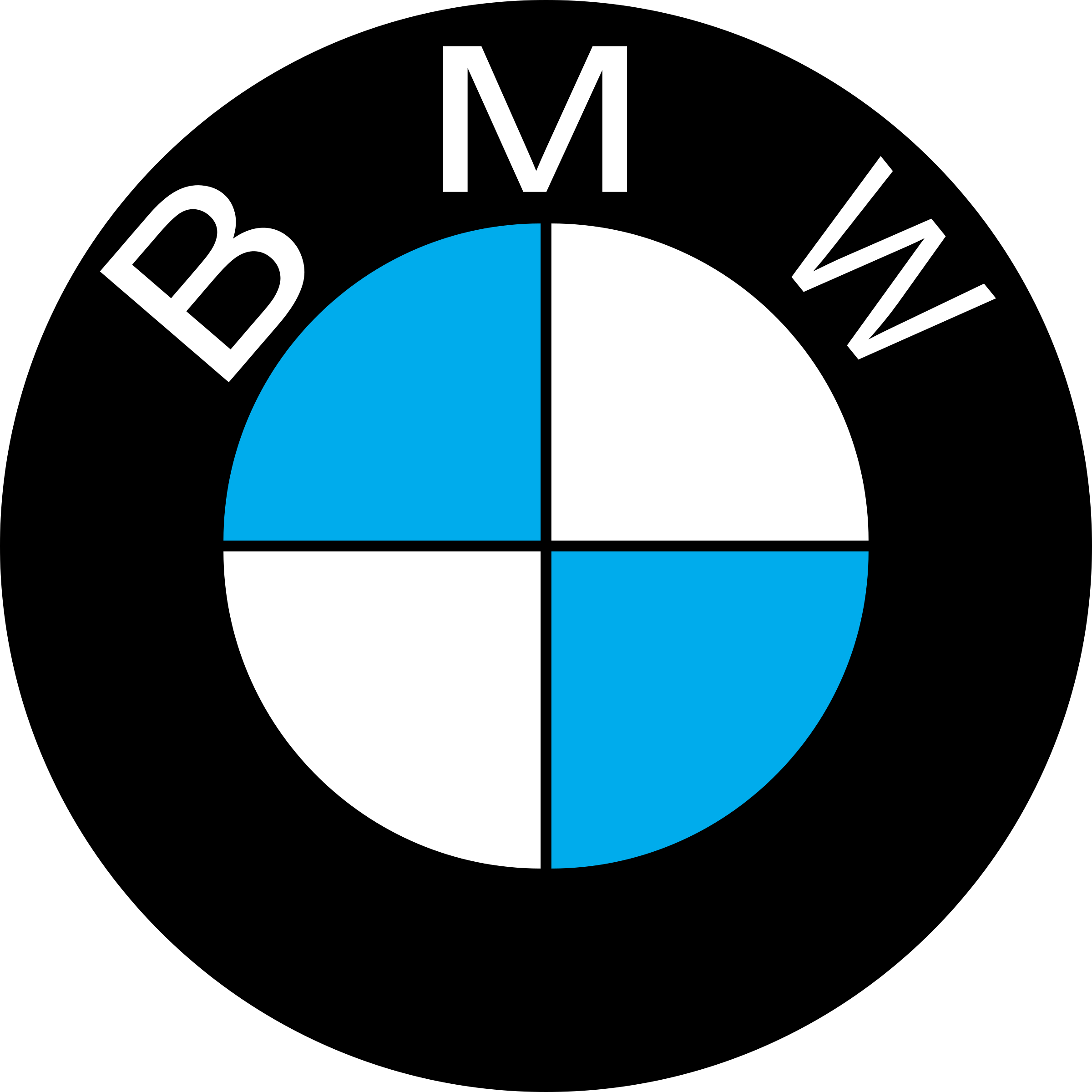 Bmw Logo Png Image (teal, white, black, greenish blue, gray)