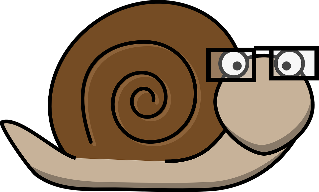 Snail Png Isolated Hd Pictures (black, silver, olive)