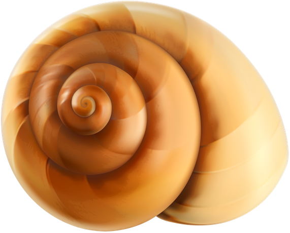 Snail Transparent Png (black, pink, beige, salmon)