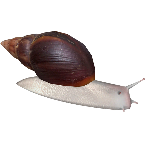 Snails Png File (black, silver)