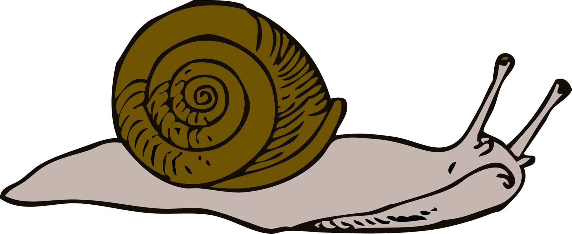 Snails Png Transparent (black, silver, olive)