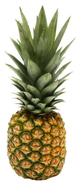 Ananas Png Hd Isolated (black)