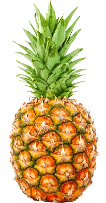 Ananas Png Hd (black)