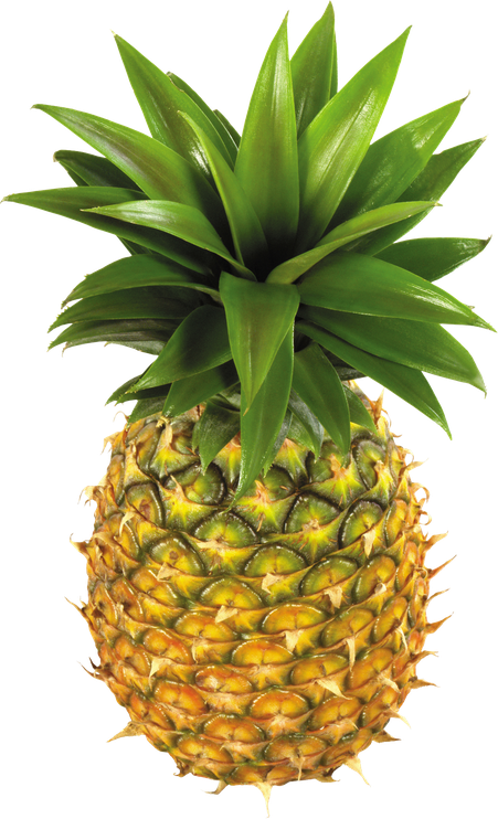 Ananas Png Isolated Image (green, black, olive)