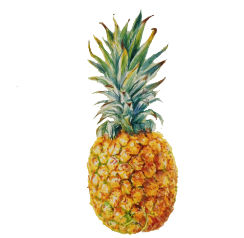 Ananas Png Isolated Photos (white, beige)