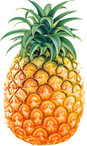 Ananas Png Isolated Pic (white, black)