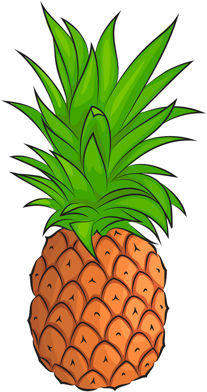 Ananas Png Pic (green, black, salmon, chocolate, olive)