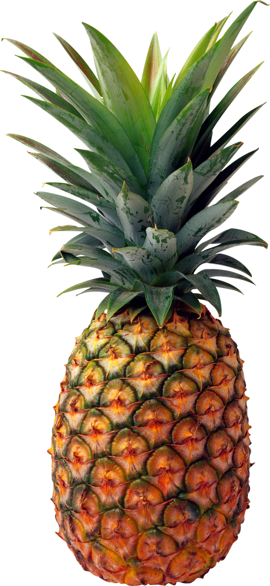 Ananas Transparent Png (black)