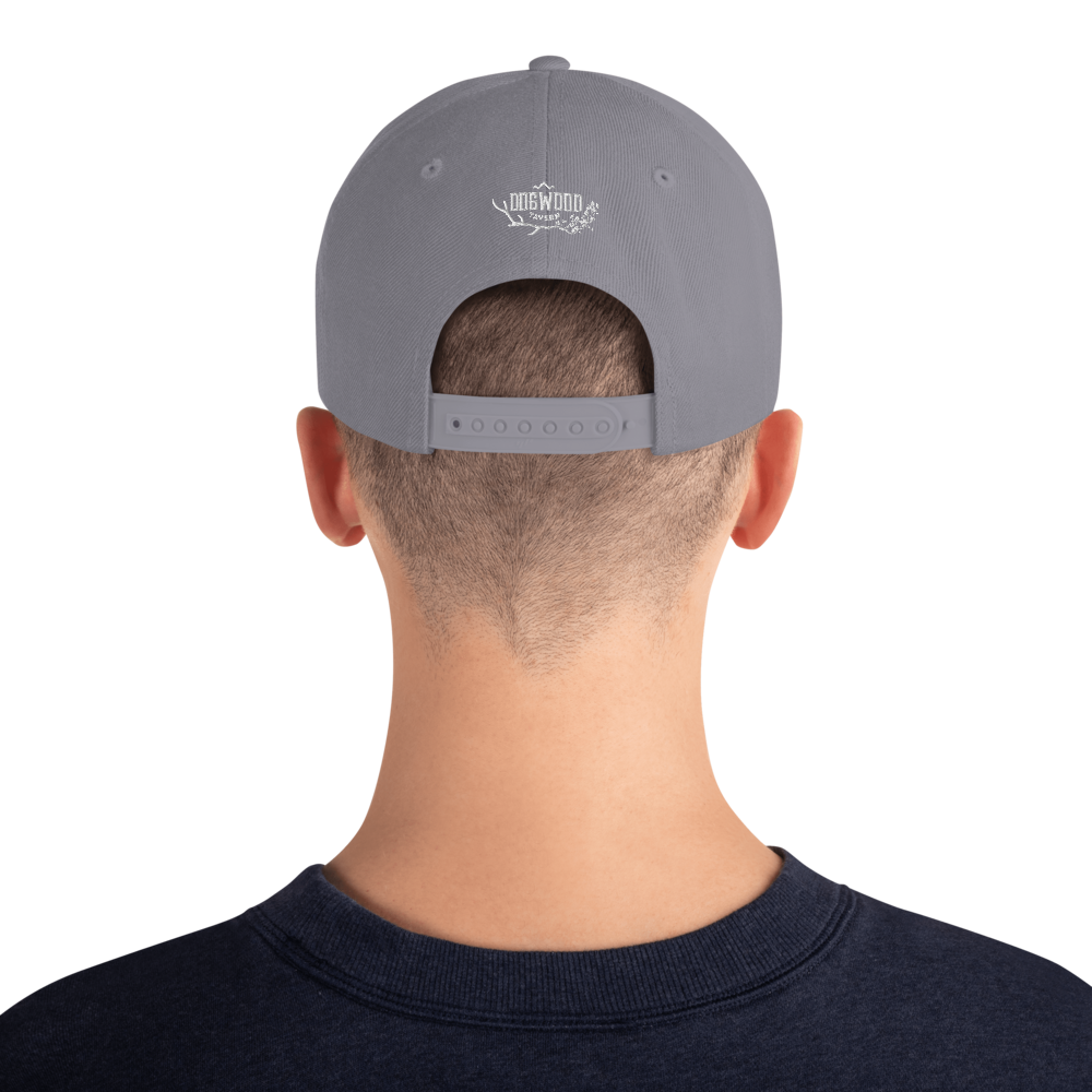 Snapback Cap Png Photos (black, gray)