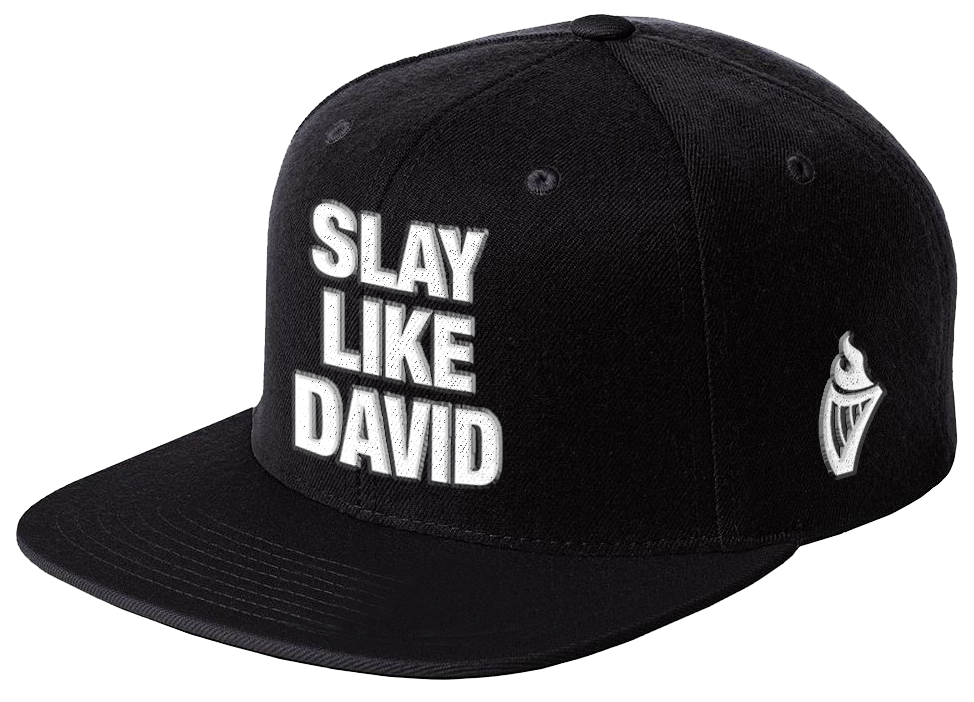 Snapback Hat (black, white)