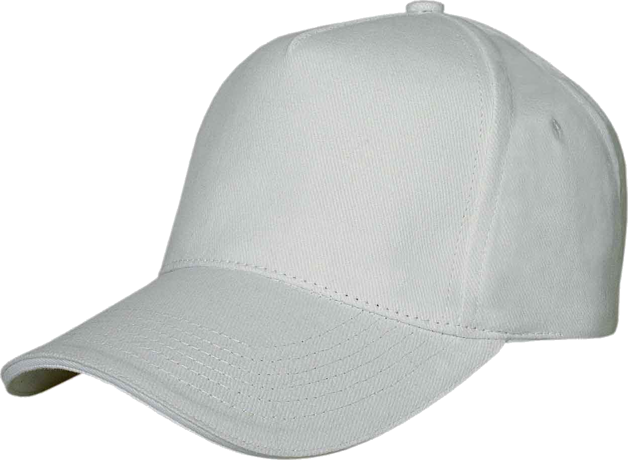 Snapback Transparent (white, silver)