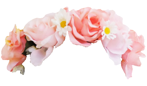 Snapchat Flower Crown Png Photo (black, beige, pink, lavender)