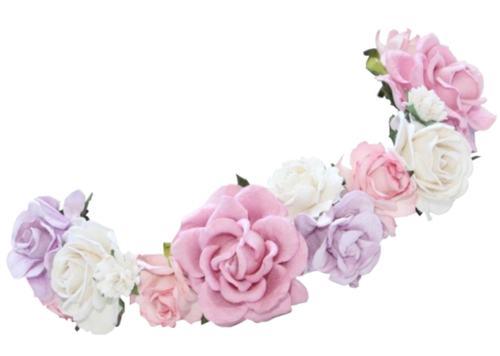 Snapchat Flower Crown Png Photos (black, beige)