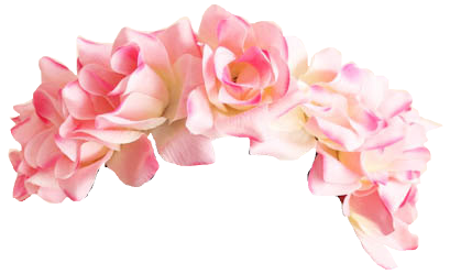 Snapchat Flower Crown Png Pic (beige)