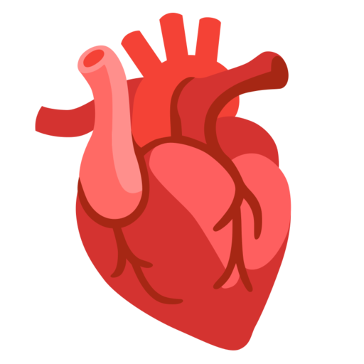 Anatomical Heart Free Png Icon Download (maroon, salmon, black, chocolate)