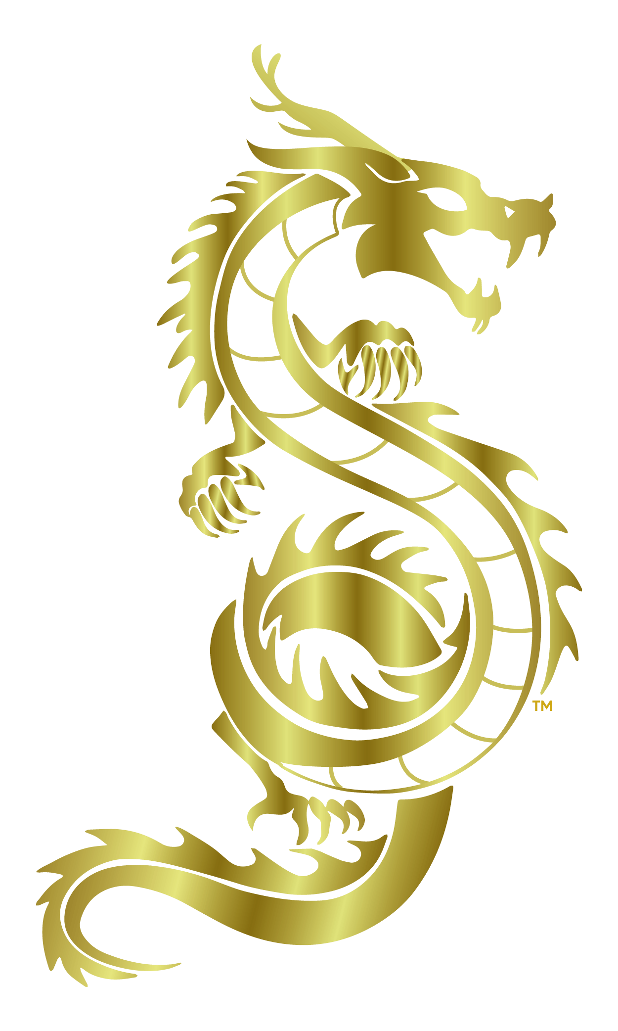 Ancient Gold Dragon Png Hd (black, olive)