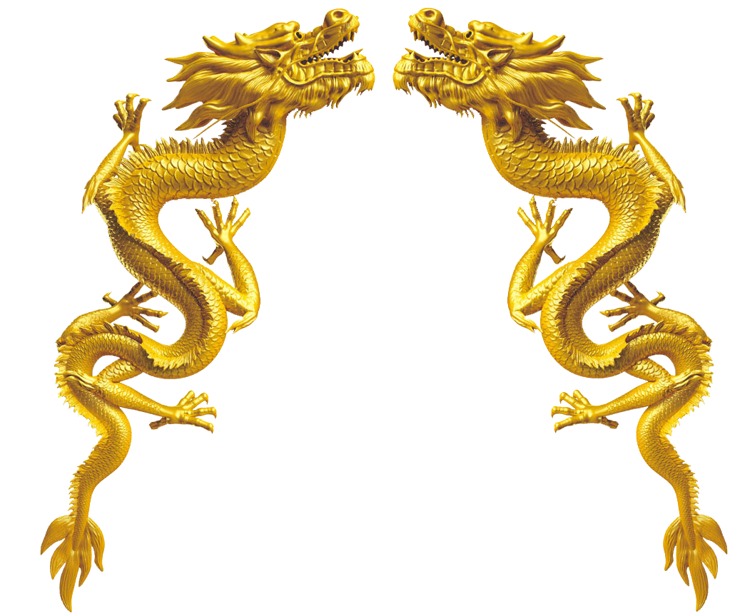 Ancient Gold Dragon Png Pic (white)