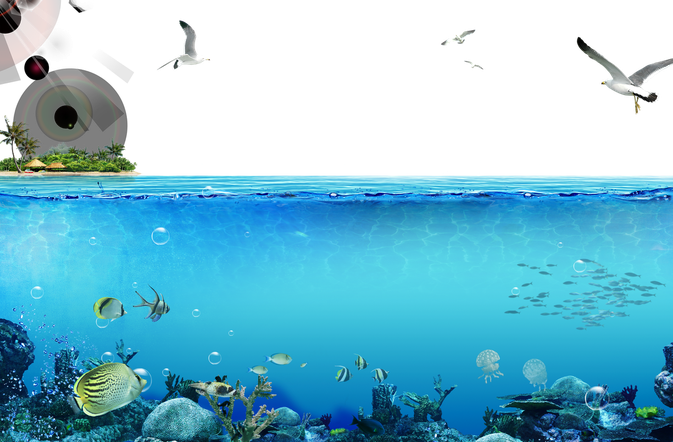 Underwater Png Pic (greenish blue, black, teal)