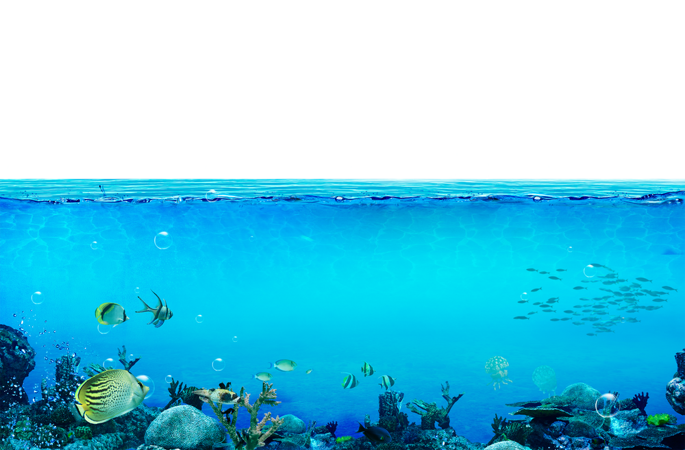 Underwater Transparent Background (greenish blue, black)