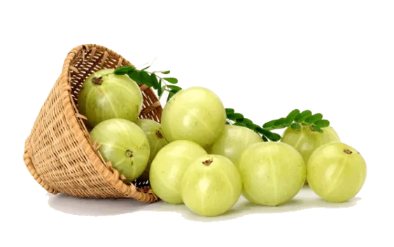 Indian Gooseberry Png Hd (pink, beige)