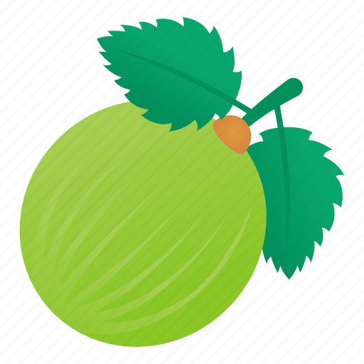 Indian Gooseberry Png Image (teal, olive, indigo, black)