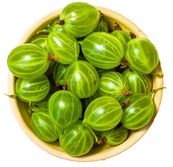 Indian Gooseberry Png Photo (gray, olive)