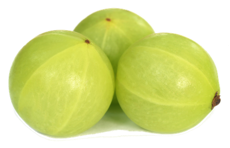 Indian Gooseberry Png Pic (olive, gold, black, salmon)