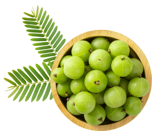 Indian Gooseberry Png (gray)