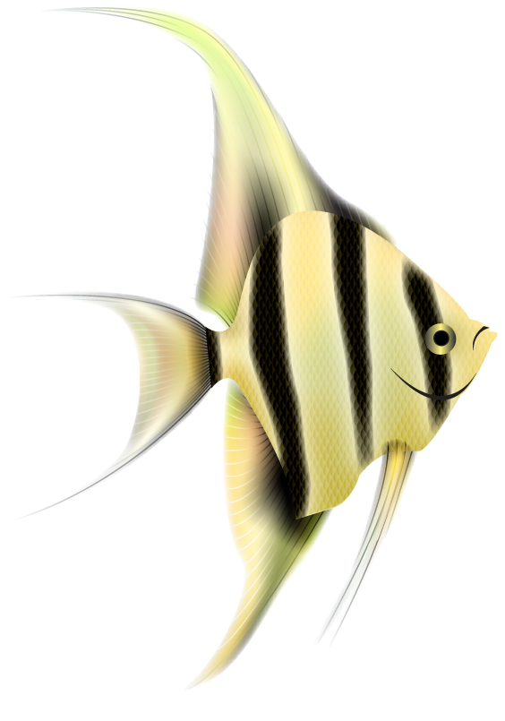 Angelfish Png Clipart (white, lavender, black, gray)