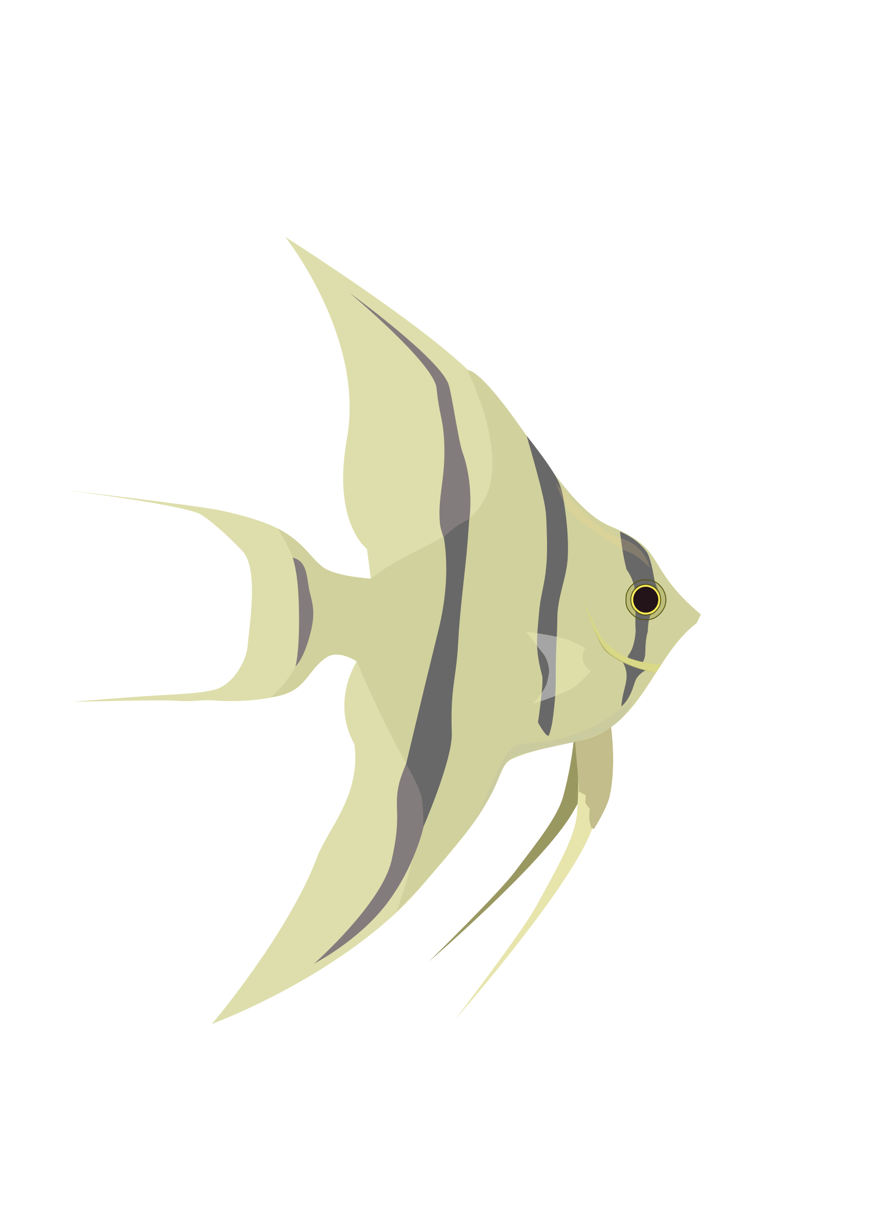 Angelfish Png Transparent Picture (black, silver)