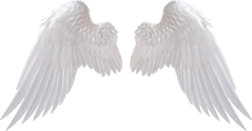 Angels Wing Png Clipart (black, silver)