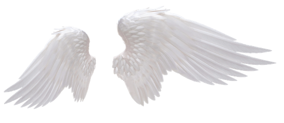 Angels Wing Png File (black, silver)