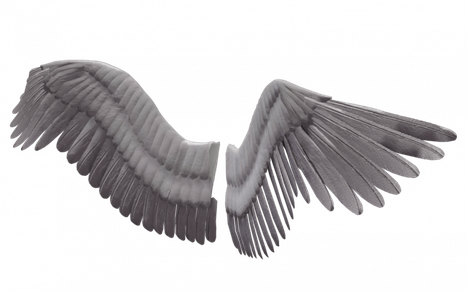 Angels Wing Png Free Download (black, gray, indigo)