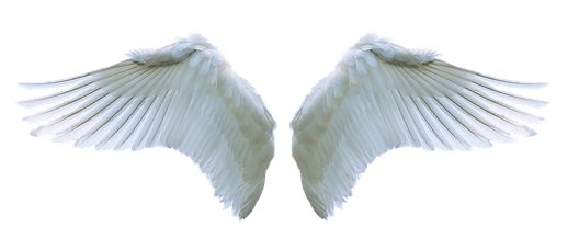 Angels Wing Png Hd (lavender, black, silver)