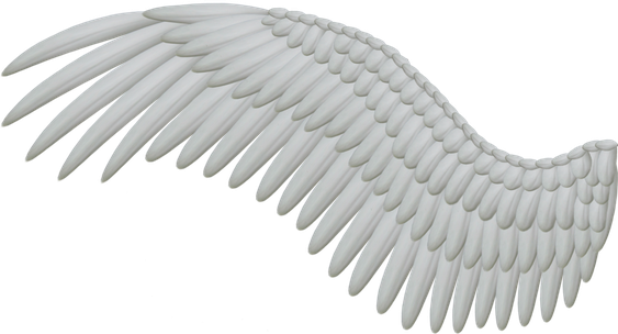 Angels Wing Png Image (black, silver)