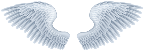 Angels Wing Png Isolated File (black, silver)