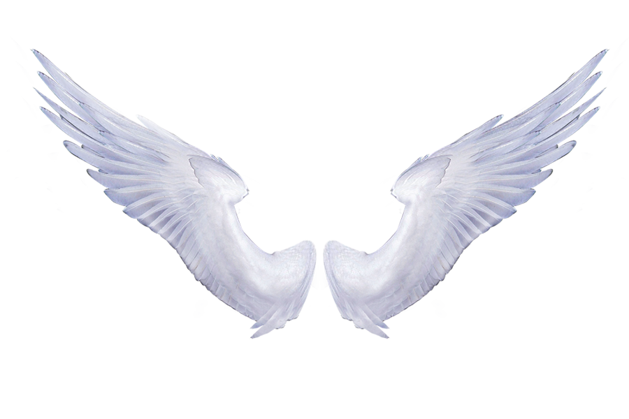 Angels Wing Png Isolated Image (lavender, black, silver)