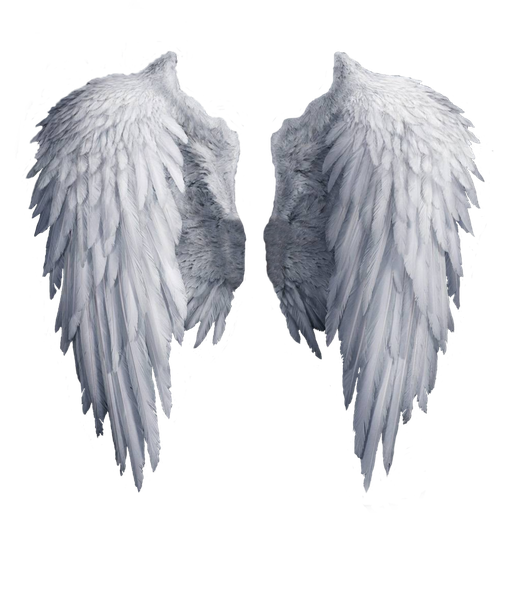 Angels Wing Png Isolated Photo (lavender, black, silver)