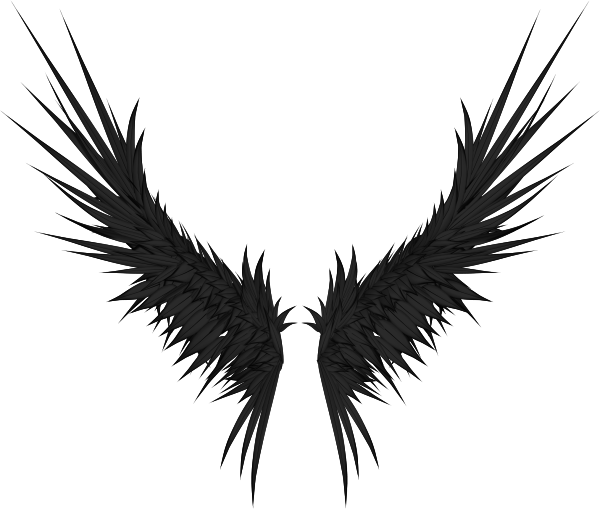 Angels Wing Png Photo (black)