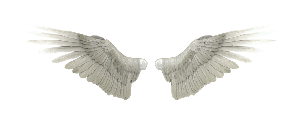 Angels Wing Png Pic (black, silver, gray)