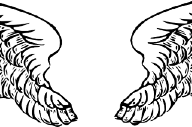 Angels Wing Png Transparent (black)